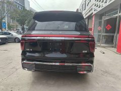 Hongqi Golden Sunflower Guoyao 4.0T elegant flag version 6 seats - фото 7
