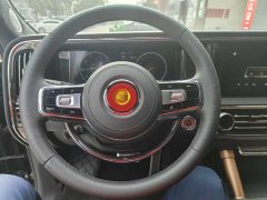 Hongqi Golden Sunflower Guoyao 4.0T elegant flag version 6 seats - фото 9