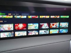 Hongqi E-HS9 660km Qichang version six seats - фото 9