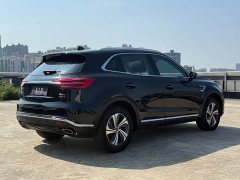 Hongqi HS5 2019 2.0T Zhilian Flagship Edition - фото 13