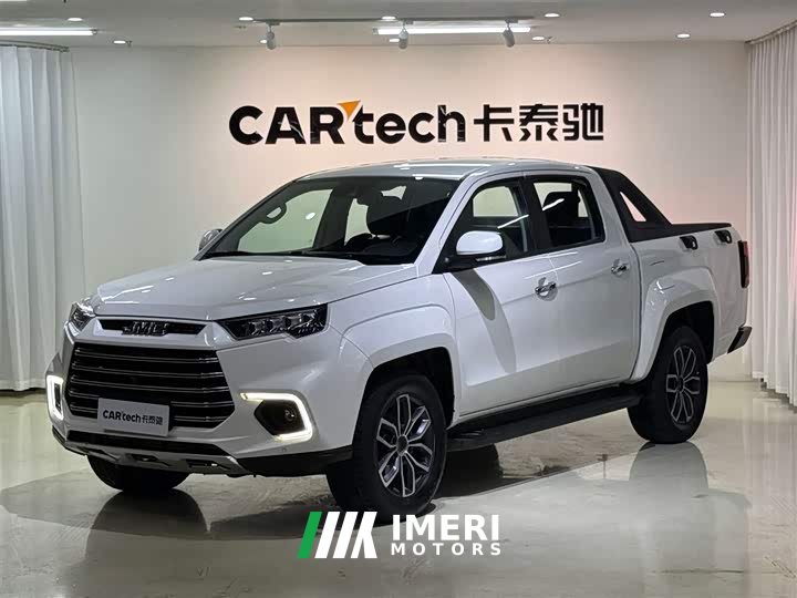 Domain Tiger Yuhu 9 2.0T automatic gasoline four-wheel drive comfort