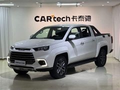 Domain Tiger Yuhu 9 2.0T automatic gasoline four-wheel drive comfort - фото 1