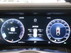 Tank 300 Off-Road Edition 2.0T - фото 7