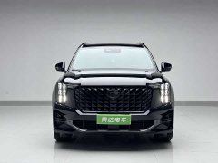 Trumpchi GS8 2.0TGDI 2WDLuxury Edition - фото 2