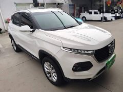 Baojun 510 2019 1.5L CVT Enjoyment Type National VI - фото 4