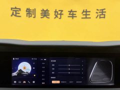 Hongqi E-HS9 690km flagship version six seats - фото 19