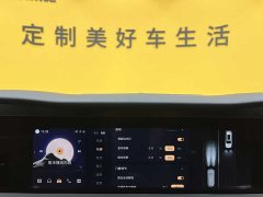 Hongqi E-HS9 660km flag collar version four seats - фото 19