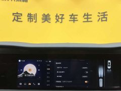 Hongqi E-HS9 660km flag collar version four seats - фото 20