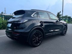 Hongqi HS5 2.0T four-wheel drive Xuanying Edition - фото 20