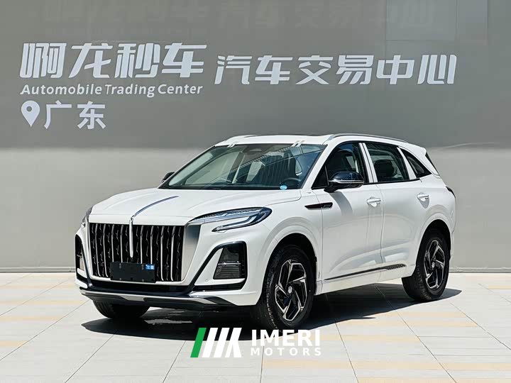 Hongqi HS3 2024 1.5T Shanwei Edition - автомобиль из Китая