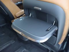 Hongqi HQ9 2023 2.0T Zhilian Qichang Edition - фото 16