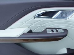 Hongqi HQ9 2023 2.0T Zhilian Qiling Edition - фото 11