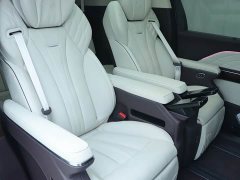 Hongqi HQ9 2023 2.0T Zhilian Qiling Edition - фото 13