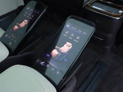 Hongqi HQ9 2023 2.0T Zhilian Qiling Edition - фото 19