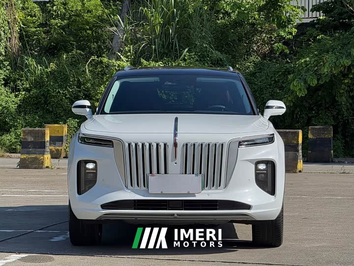 Hongqi E-HS9 660km Qichang version six seats - автомобиль из Китая