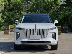 Hongqi E-HS9 660km Qichang version six seats - фото 1