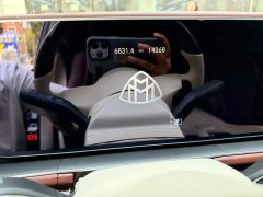 Maybach GLS 2022 GLS 480 4MATIC - фото 13