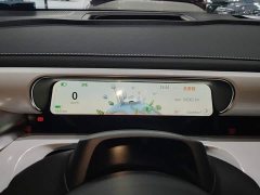 smart#1 Pulse Edition - фото 12