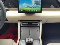 BYD L DM-i 80KM Version - фото 13
