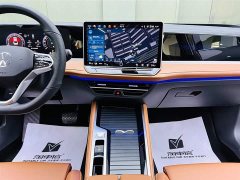 Volkswagen Magotan 2024 300TSI DSG Exclusive Edition Conspicuous Package - фото 12