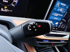 Volkswagen Magotan 2024 300TSI DSG Exclusive Edition Conspicuous Package - фото 14