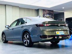 Volkswagen Magotan 2024 300TSI DSG Exclusive Edition Conspicuous Package - фото 6
