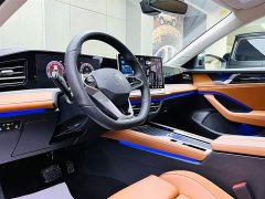 Volkswagen Magotan 2024 300TSI DSG Exclusive Edition Conspicuous Package - фото 8