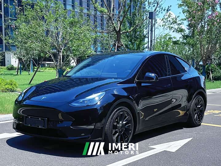 Tesla Model Y standard range rear-wheel drive version - автомобиль из Китая