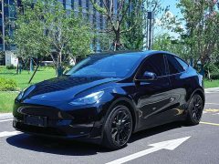 Tesla Model Y standard range rear-wheel drive version - фото 1
