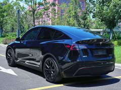 Tesla Model Y standard range rear-wheel drive version - фото 11