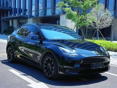 Tesla Model Y standard range rear-wheel drive version - фото 3