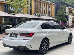 BMW 3 Series 320Li M Sports Package - фото 10