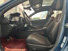 240TGDi DCT LUXPremium Edition - фото 6
