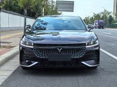 Voyah Lantu Chasing Light PHEV four-wheel drive ultra-long range flagship version - фото 7