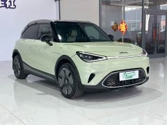 smart Elf #1 2022 Premium Edition - фото 3