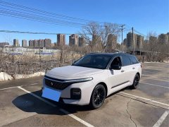 Baojun Valli 1.5T Ili Ranch CVT Deluxe Edition - фото 1