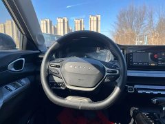 Baojun Valli 1.5T Ili Ranch CVT Deluxe Edition - фото 13