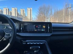 Baojun Valli 1.5T Ili Ranch CVT Deluxe Edition - фото 17