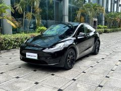 Tesla Model Y rear-wheel drive version - фото 1