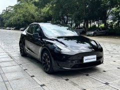 Tesla Model Y rear-wheel drive version - фото 3
