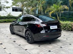 Tesla Model Y rear-wheel drive version - фото 6