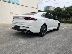 Geely Xingrui 2.0TD luxury - фото 16
