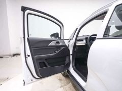 Geely Geometry E Firefly 320KM Cunning Tiger 4-Seat - фото 10
