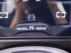 Geely Geometry E Firefly 320KM Cunning Tiger 4-Seat - фото 11