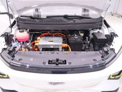 Geely Geometry E Firefly 320KM Cunning Tiger 4-Seat - фото 19