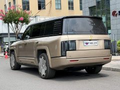 Yangwang U8 L Dingshi Edition - фото 4