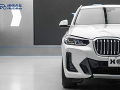 BMW X3 xDrive25i M - фото 8