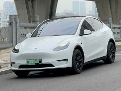 Tesla Model Y Long Range Edition - фото 1