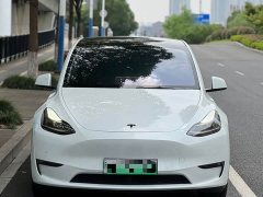 Tesla Model Y Long Range Edition - фото 2