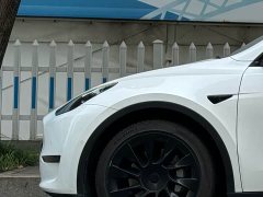 Tesla Model Y Long Range Edition - фото 8